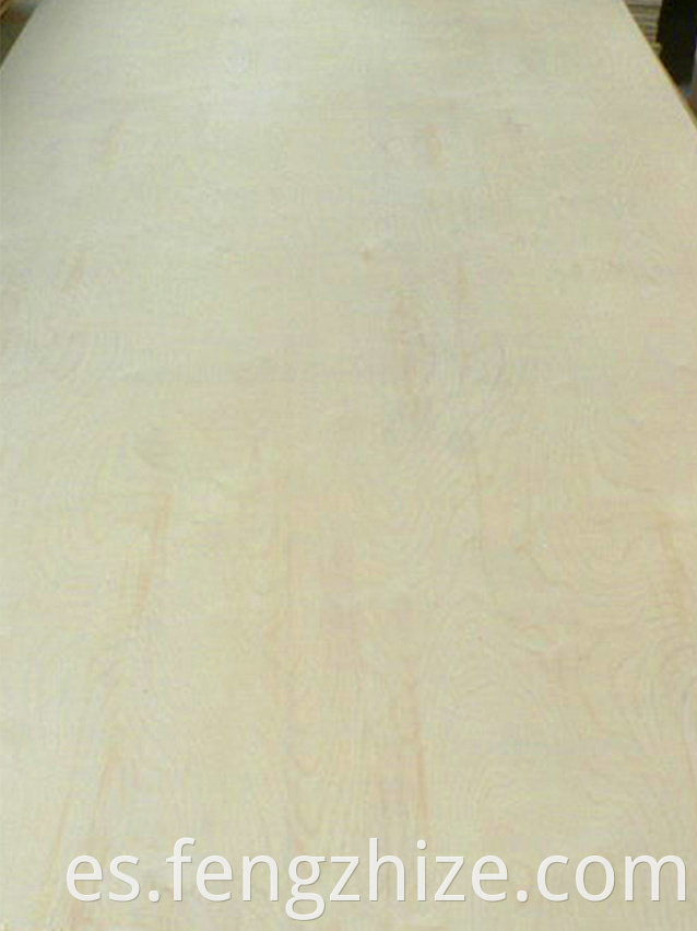 POPLAR PLYWOOD